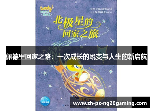佩德里回家之路：一次成长的蜕变与人生的新启航