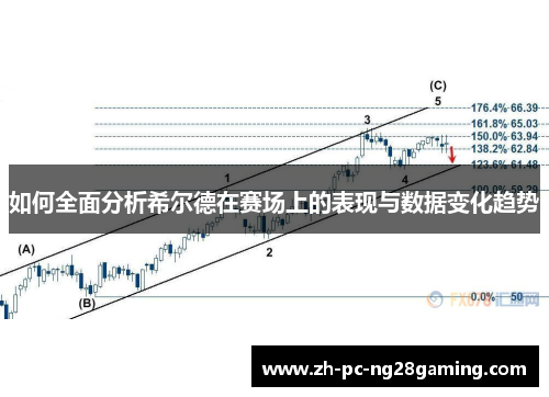 如何全面分析希尔德在赛场上的表现与数据变化趋势