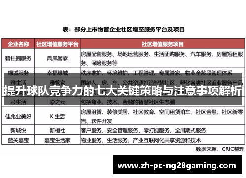 提升球队竞争力的七大关键策略与注意事项解析