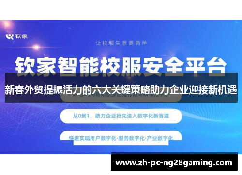 新春外贸提振活力的六大关键策略助力企业迎接新机遇