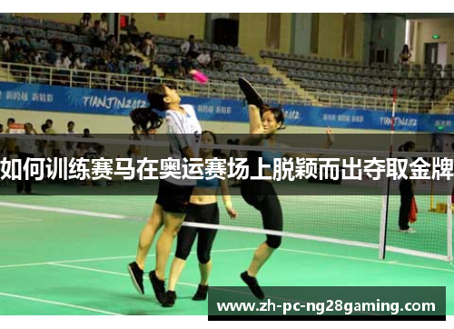 如何训练赛马在奥运赛场上脱颖而出夺取金牌