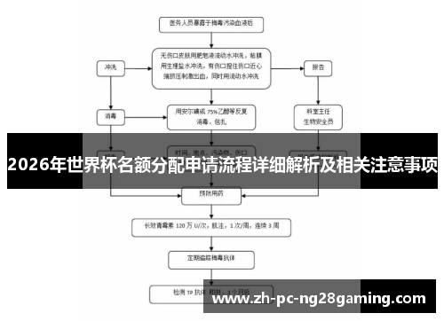 2026年世界杯名额分配申请流程详细解析及相关注意事项