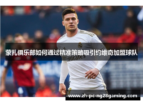 蒙扎俱乐部如何通过精准策略吸引约维奇加盟球队 蒙扎俱乐部如何通过精准策略吸引约维奇加盟球队