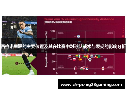 西格诺里踢的主要位置及其在比赛中对球队战术与表现的影响分析 西格诺里踢的主要位置及其在比赛中对球队战术与表现的影响分析