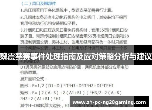 魏震禁赛事件处理指南及应对策略分析与建议