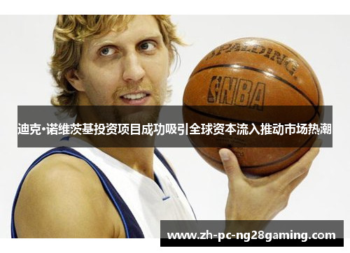 迪克·诺维茨基投资项目成功吸引全球资本流入推动市场热潮