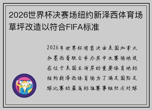2026世界杯决赛场纽约新泽西体育场草坪改造以符合FIFA标准
